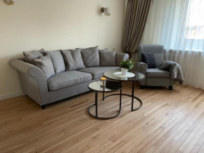 SAULETEKIO APARTMENT